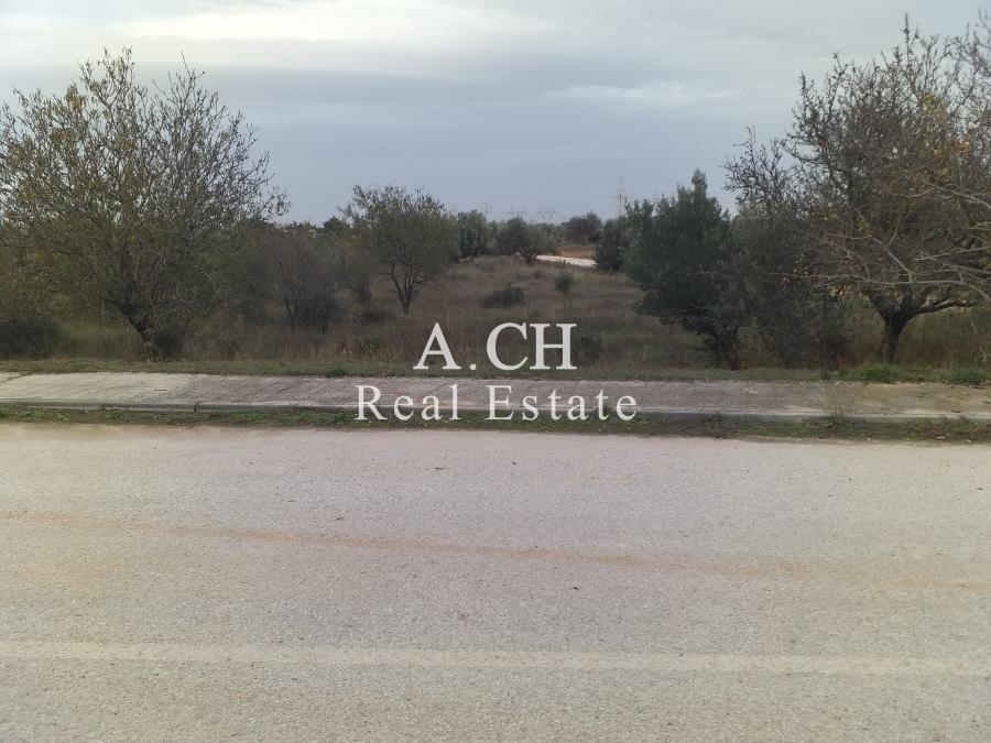 (For Sale) Land Agricultural Land  || East Attica/Koropi - 2.067 Sq.m, 125.000€ 