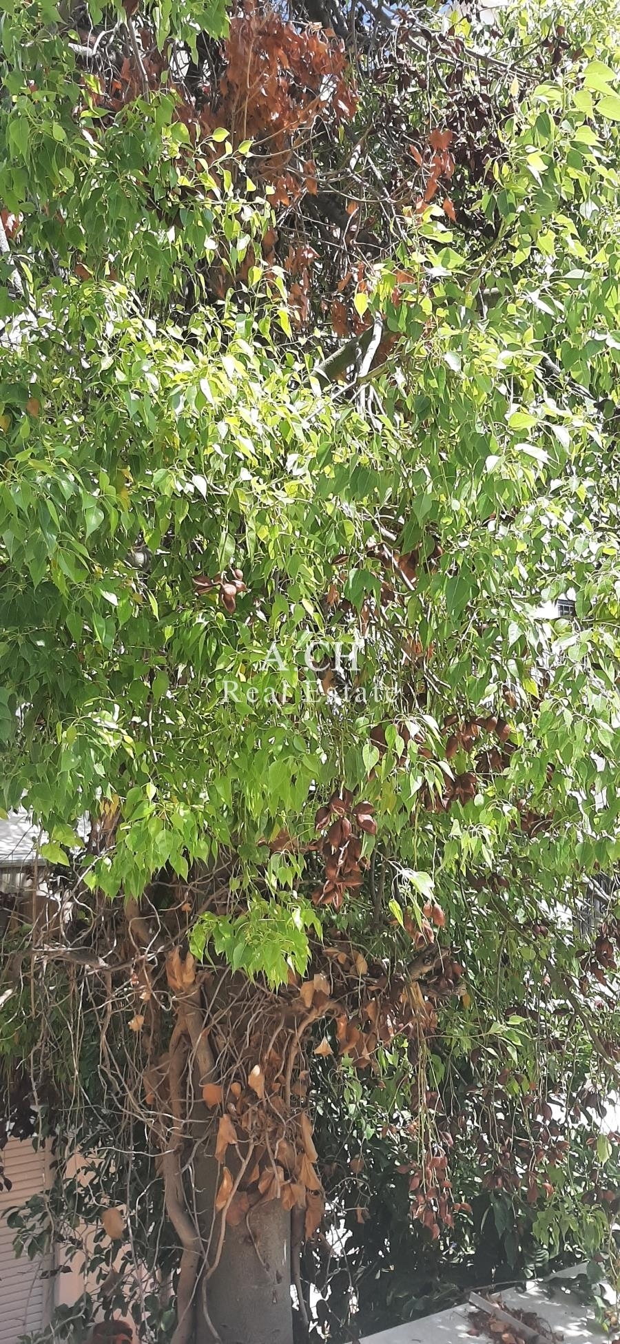 (Προς Πώληση) Αξιοποιήσιμη Γη Οικόπεδο || Αθήνα Βόρεια/Λυκόβρυση - 475 τ.μ, 380.000€ 