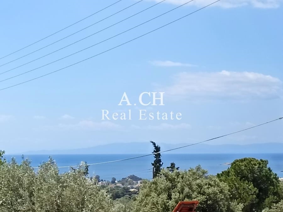 (Προς Πώληση) Αξιοποιήσιμη Γη Οικόπεδο || Ανατολική Αττική/Καλύβια-Λαγονήσι - 976 τ.μ, 300.000€ 