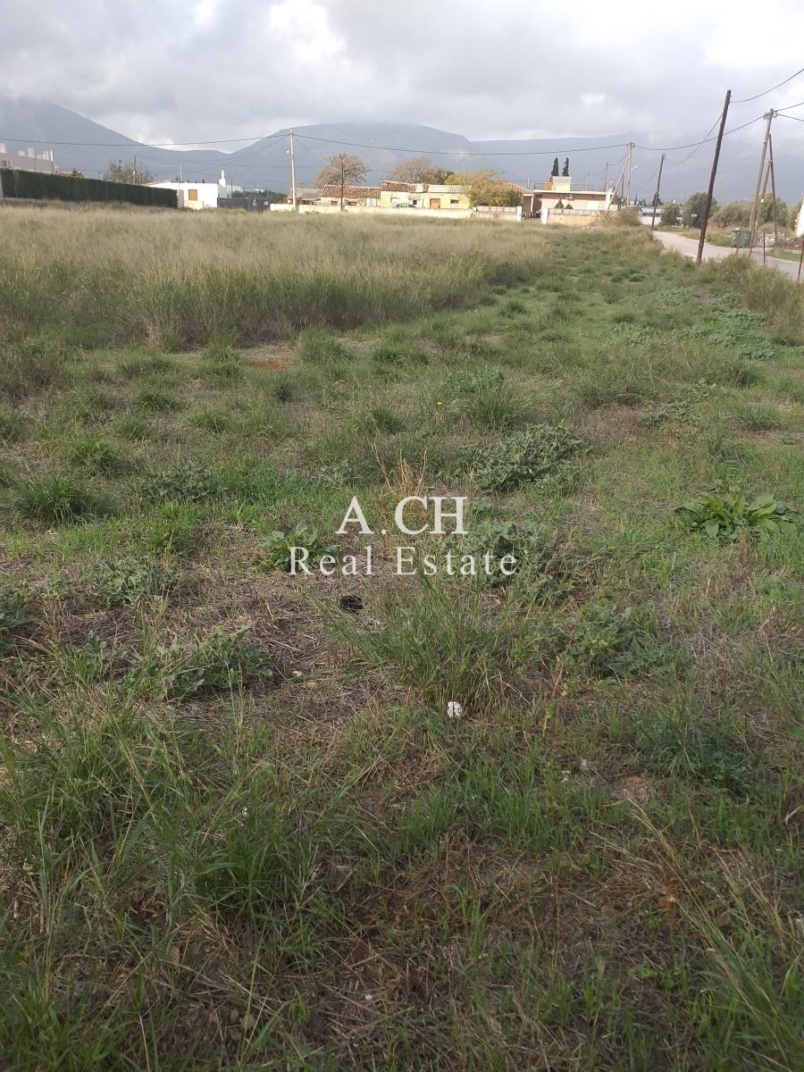 (Προς Πώληση) Αξιοποιήσιμη Γη Οικόπεδο || Ανατολική Αττική/Κορωπί  - 4.250 τ.μ, 450.000€ 