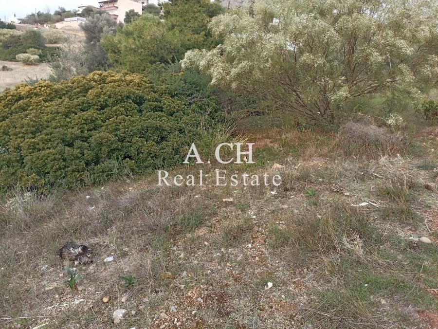 (Προς Πώληση) Αξιοποιήσιμη Γη Οικόπεδο || Ανατολική Αττική/Ανάβυσσος - 650 τ.μ, 200.000€ 
