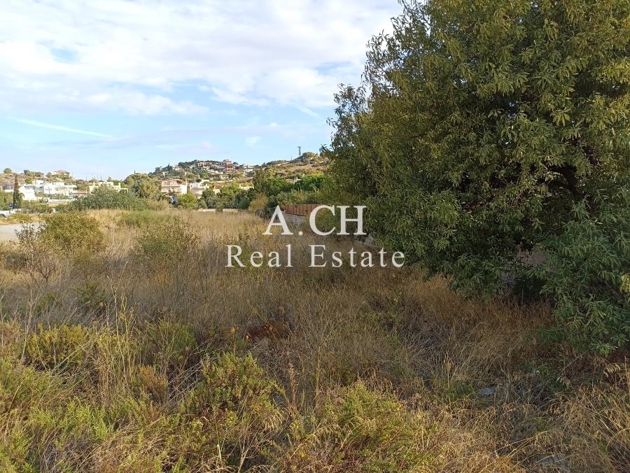 (For Sale) Land Plot || East Attica/Kalyvia-Lagonisi - 1.136 Sq.m, 900.000€ 