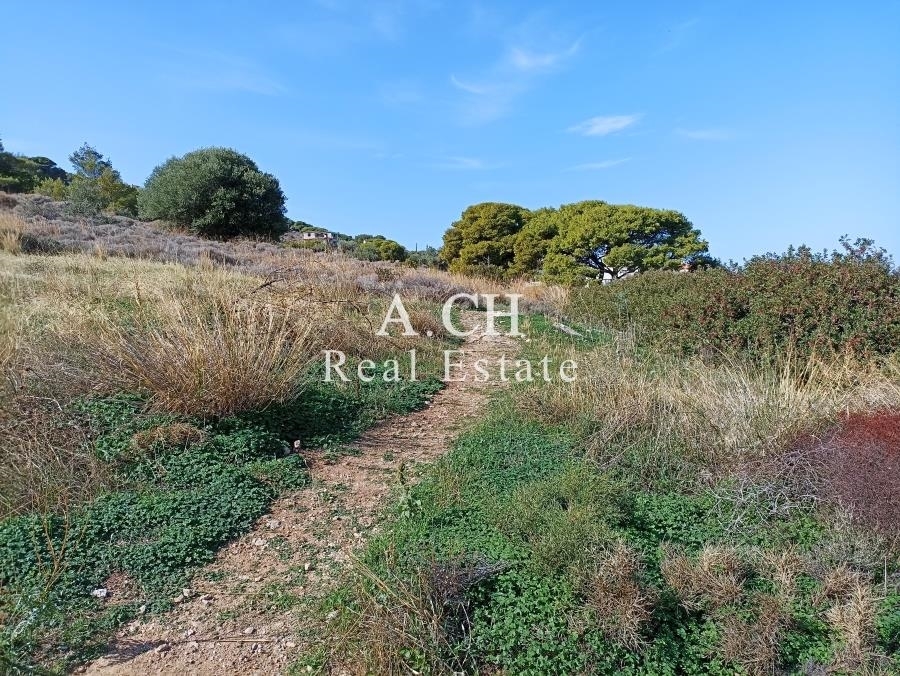 (Προς Πώληση) Αξιοποιήσιμη Γη Οικόπεδο || Ανατολική Αττική/Καλύβια-Λαγονήσι - 25.000 τ.μ, 1.000.000€ 