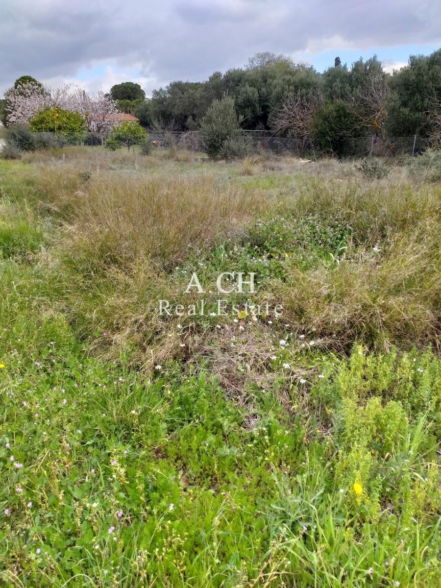 (For Sale) Land Plot || East Attica/Koropi - 493 Sq.m, 45.000€ 