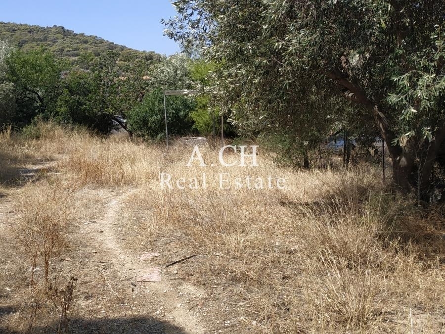 (For Sale) Land Plot || East Attica/Kalyvia-Lagonisi - 337 Sq.m, 120.000€ 