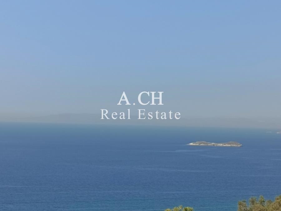 (Προς Πώληση) Αξιοποιήσιμη Γη Οικόπεδο || Ανατολική Αττική/Κορωπί  - 750 τ.μ, 550.000€ 