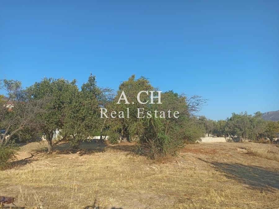 (For Sale) Land Plot || East Attica/Kalyvia-Lagonisi - 682 Sq.m, 198.000€ 