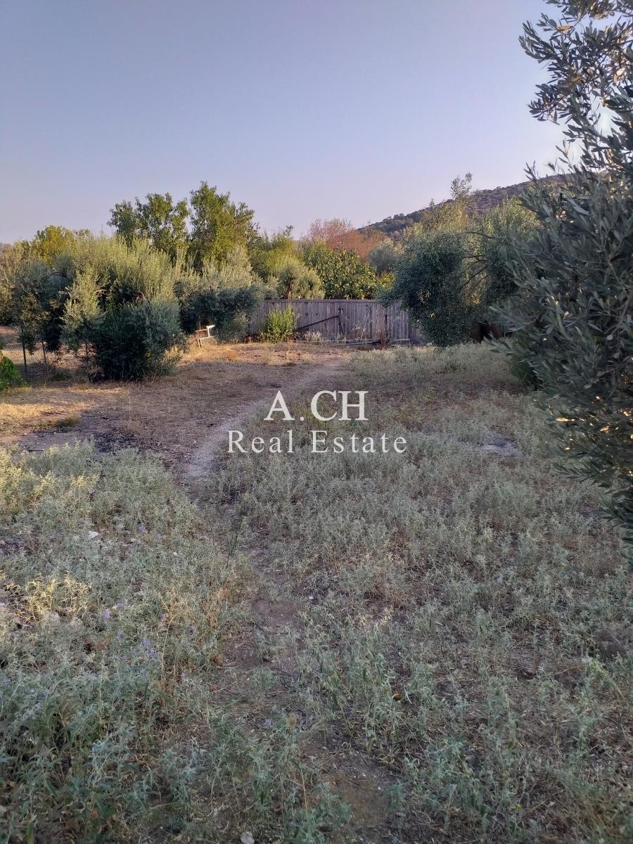 (For Sale) Land Plot || East Attica/Koropi - 800 Sq.m, 85.000€ 