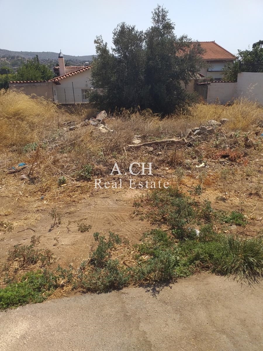 (For Sale) Land Plot || East Attica/Koropi - 245 Sq.m, 65.000€ 