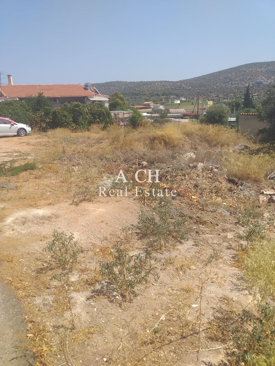 (For Sale) Land Plot || East Attica/Koropi - 245 Sq.m, 65.000€ 