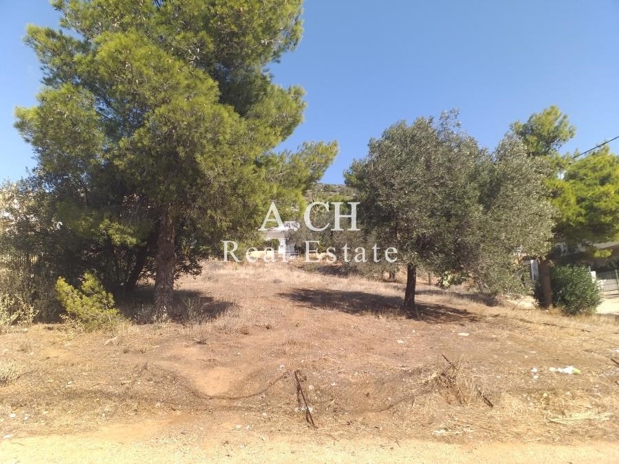 (For Sale) Land Plot || East Attica/Keratea - 340 Sq.m, 45.000€ 