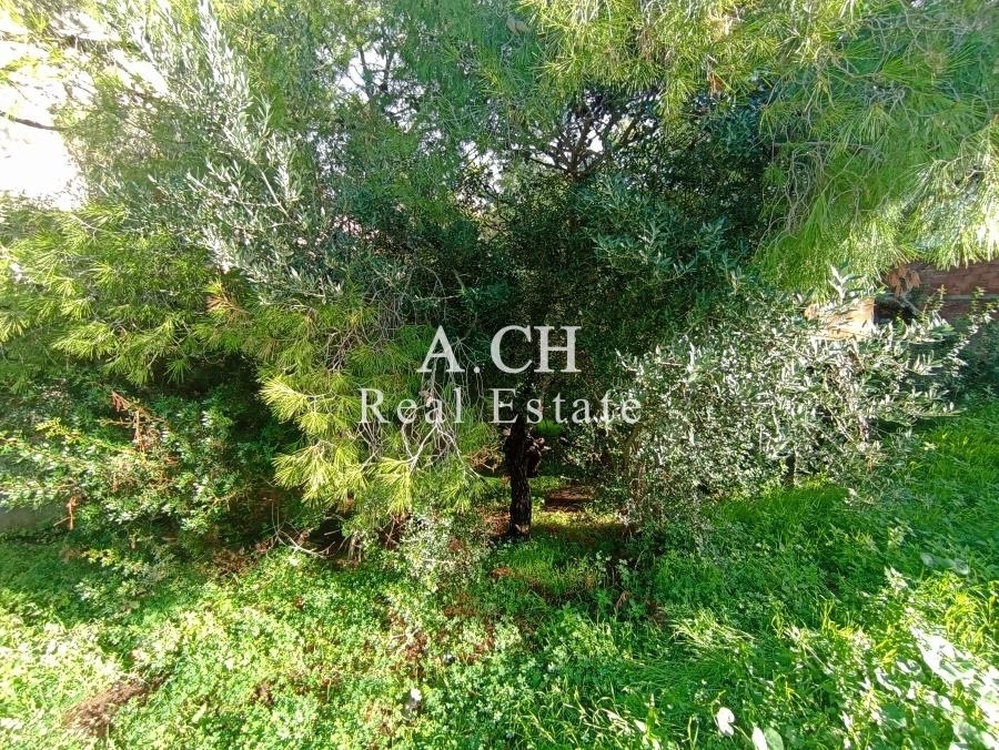 (Προς Πώληση) Αξιοποιήσιμη Γη Οικόπεδο || Ανατολική Αττική/Σαρωνίδα - 526 τ.μ, 380.000€ 