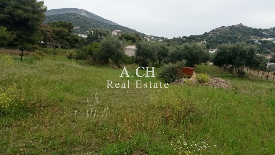 (For Sale) Land Plot || East Attica/Kalyvia-Lagonisi - 1.300 Sq.m, 300.000€ 