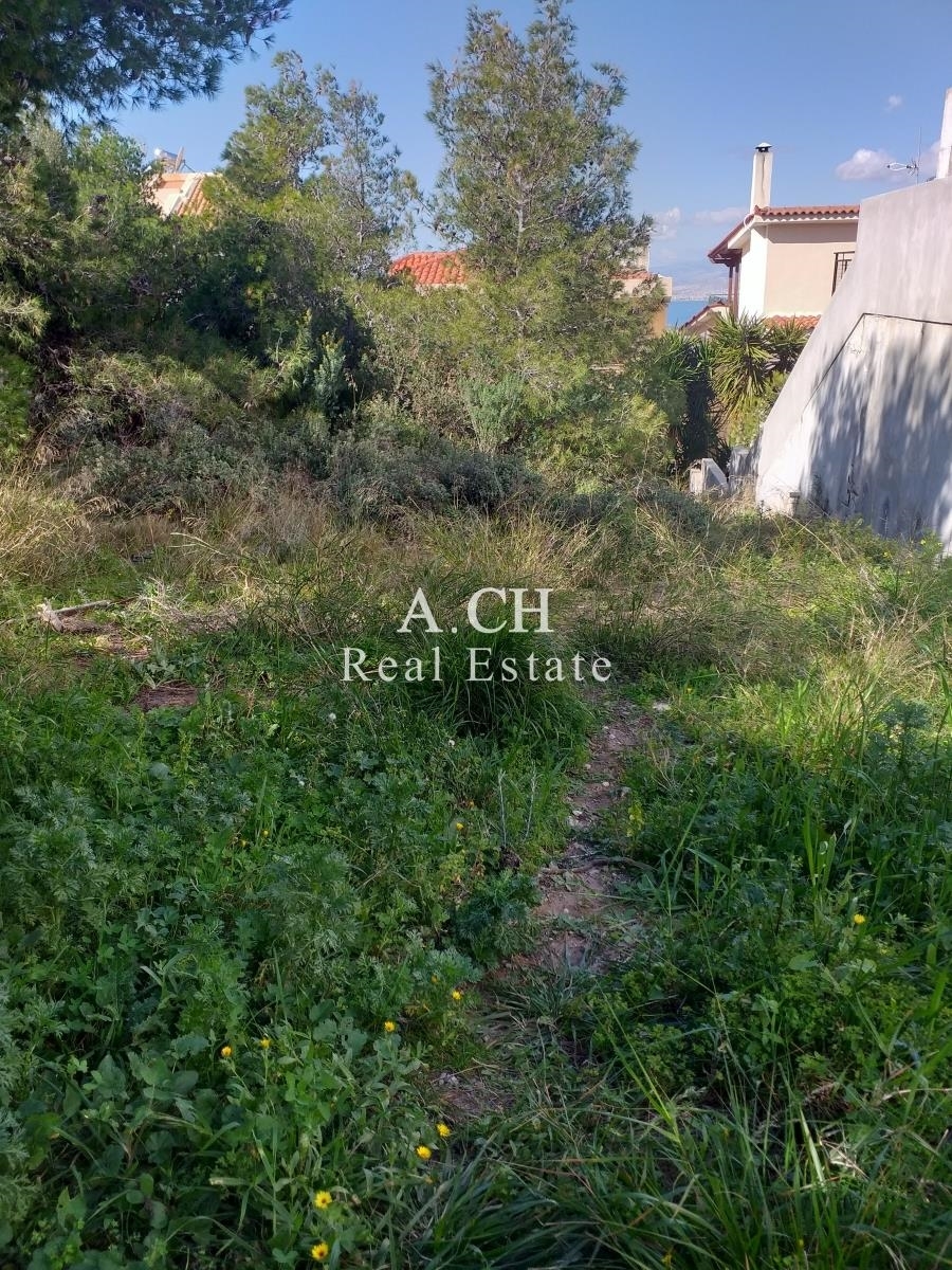 (For Sale) Land Plot || East Attica/Voula - 364 Sq.m, 480.000€ 