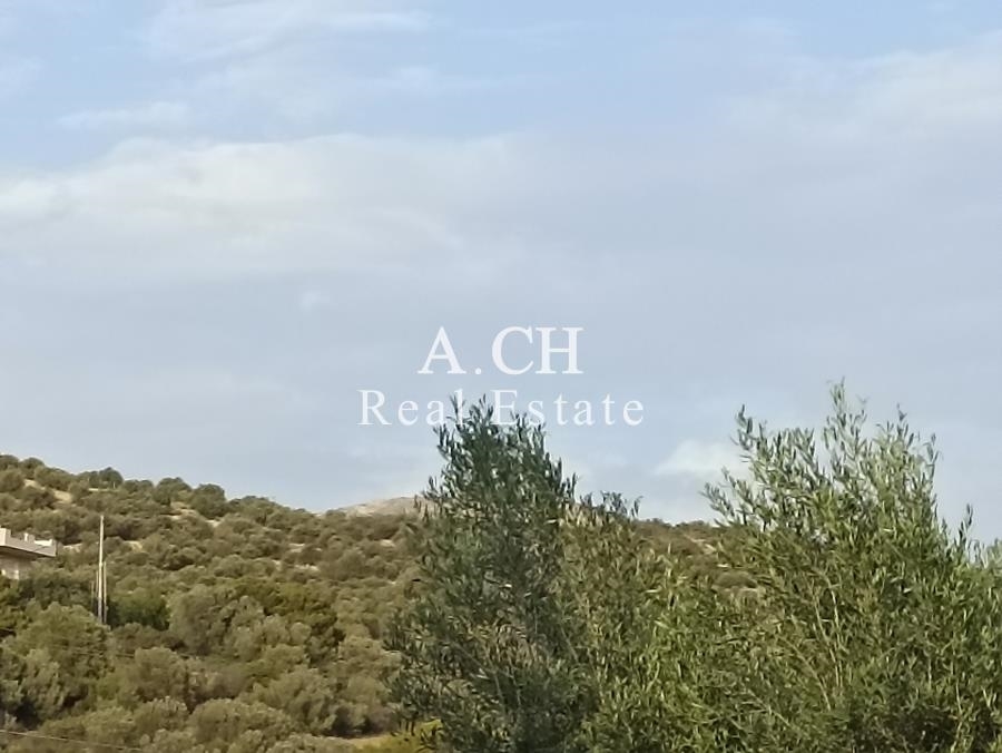 (For Sale) Land Plot || East Attica/Kalyvia-Lagonisi - 227 Sq.m, 70.000€ 
