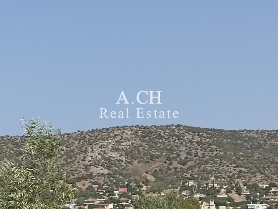 (For Sale) Land Plot || East Attica/Koropi - 1.266 Sq.m, 350.000€ 