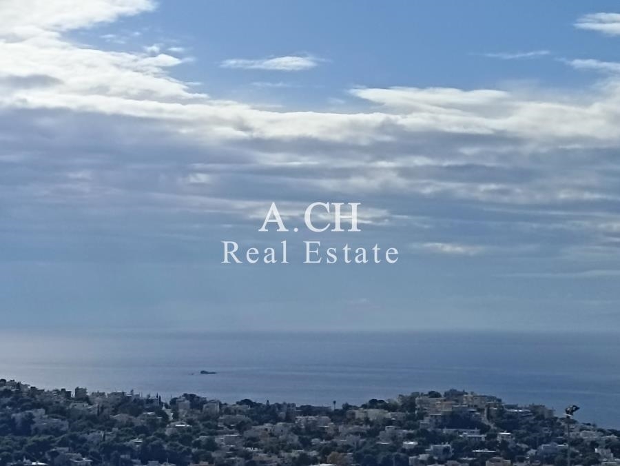 (Προς Πώληση) Αξιοποιήσιμη Γη Οικόπεδο || Ανατολική Αττική/Σαρωνίδα - 746 τ.μ, 350.000€ 