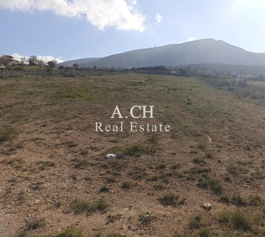 (Προς Πώληση) Αξιοποιήσιμη Γη Έκταση || Ανατολική Αττική/Καλύβια-Λαγονήσι - 7.960 τ.μ, 400.000€ 