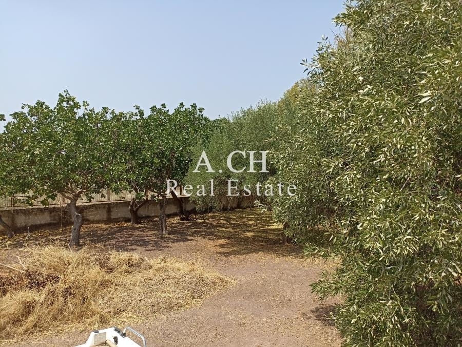 (For Sale) Land Plot || East Attica/Kalyvia-Lagonisi - 550 Sq.m, 120.000€ 