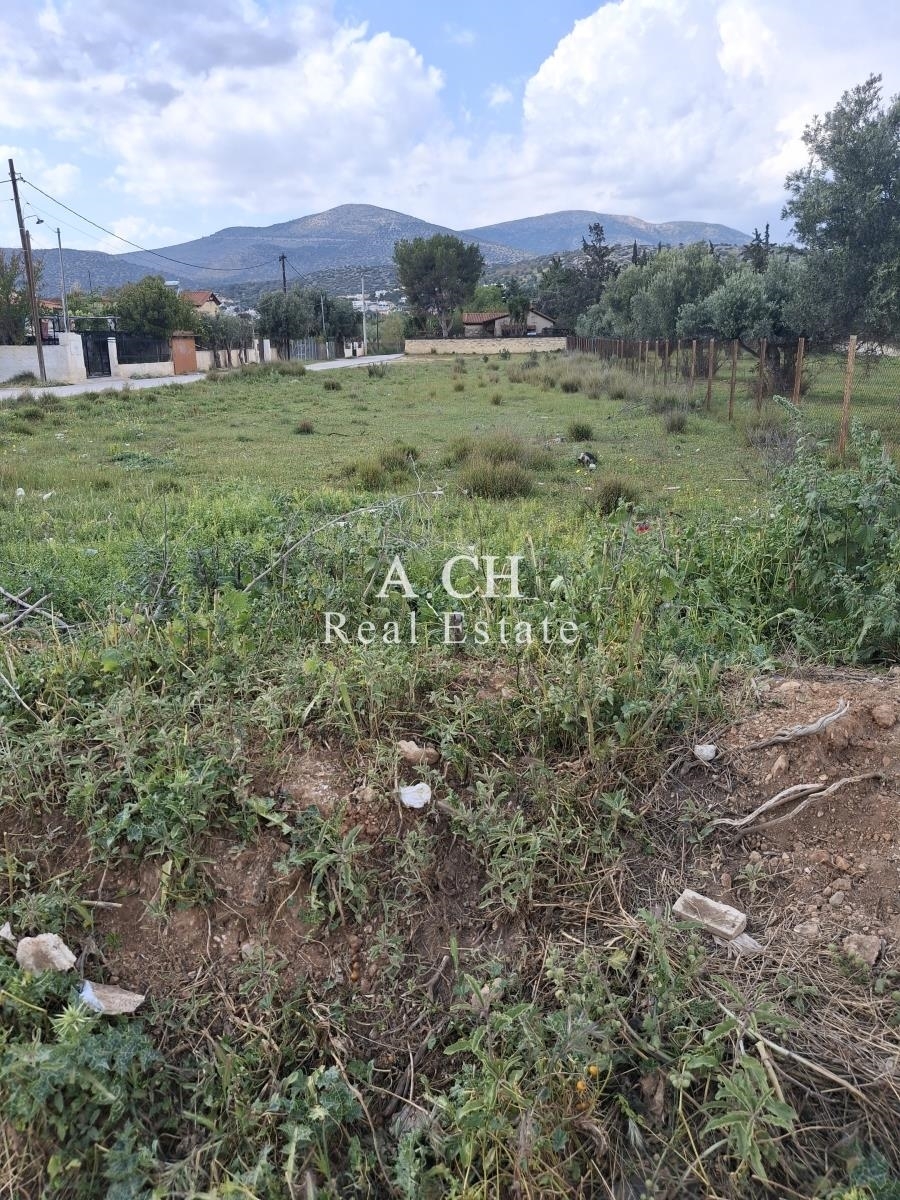 (For Sale) Land Agricultural Land  || East Attica/Koropi - 2.000 Sq.m, 130.000€ 