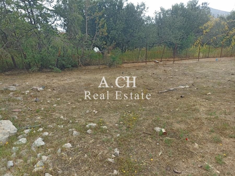 (For Sale) Land Plot || East Attica/Kalyvia-Lagonisi - 377 Sq.m, 120.000€ 