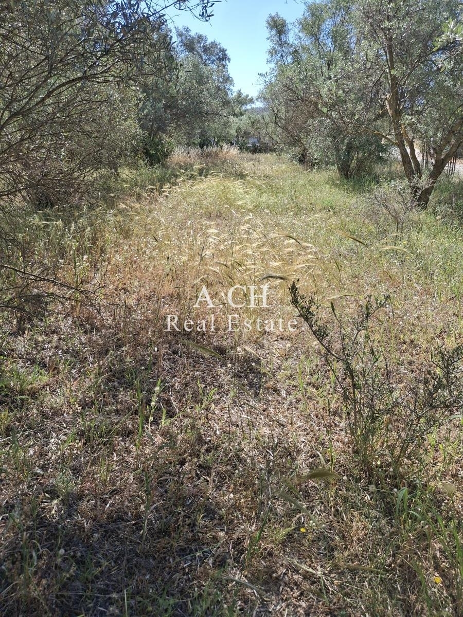 (Προς Πώληση) Αξιοποιήσιμη Γη Αγροτεμάχιο || Ανατολική Αττική/Κορωπί  - 1.172 τ.μ, 14.000€ 