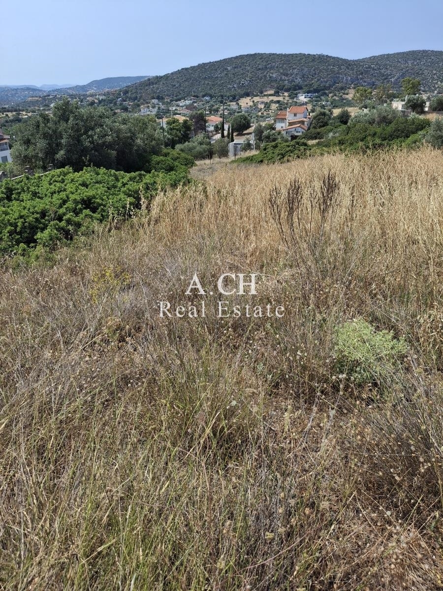 (Προς Πώληση) Αξιοποιήσιμη Γη Αγροτεμάχιο || Ανατολική Αττική/Κορωπί  - 2.500 τ.μ, 80.000€ 