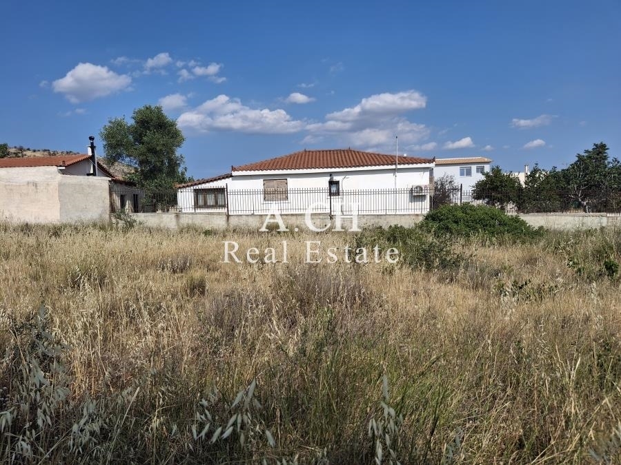 (Προς Πώληση) Αξιοποιήσιμη Γη Αγροτεμάχιο || Ανατολική Αττική/Κορωπί  - 1.306 τ.μ, 45.000€ 
