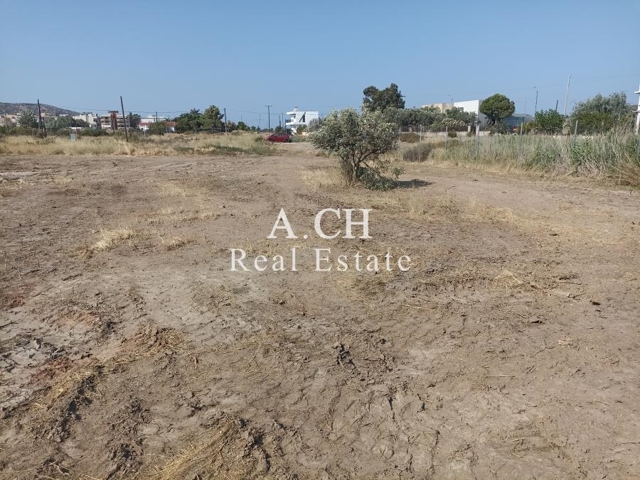 (Προς Πώληση) Αξιοποιήσιμη Γη Οικόπεδο || Ανατολική Αττική/Ανάβυσσος - 602 τ.μ, 200.000€ 