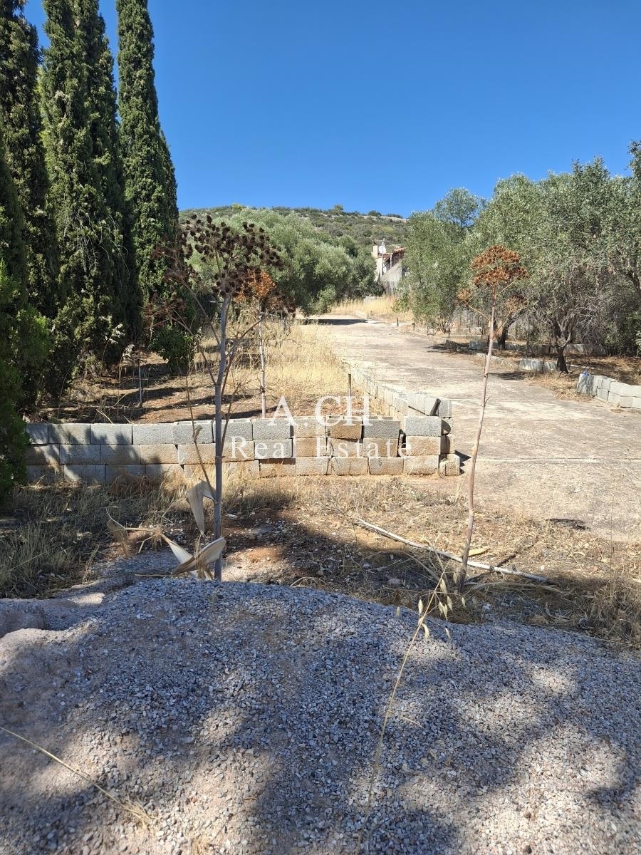 (Προς Πώληση) Αξιοποιήσιμη Γη Αγροτεμάχιο || Ανατολική Αττική/Κορωπί  - 1.800 τ.μ, 60.000€ 