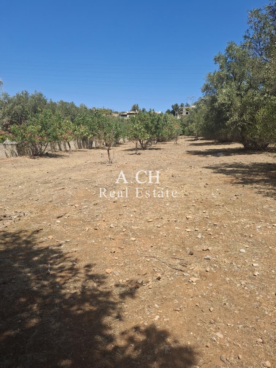 (For Sale) Land Agricultural Land  || East Attica/Koropi - 3.786 Sq.m, 72.000€ 