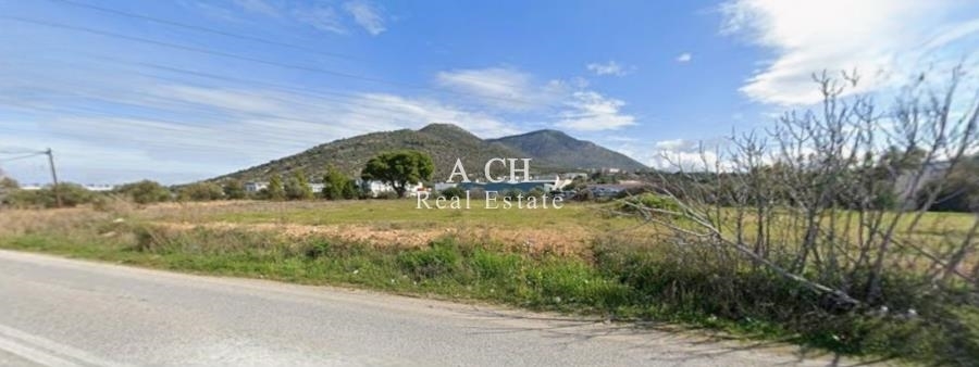 (For Rent) Land Agricultural Land  || East Attica/Kalyvia-Lagonisi - 10.500 Sq.m, 5.000€ 