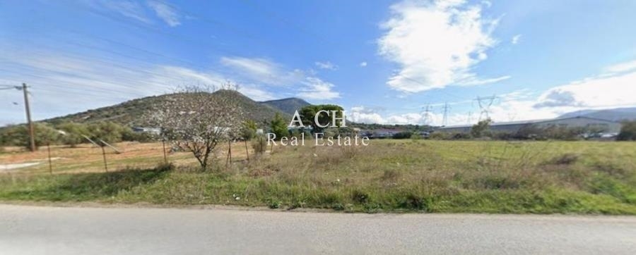 (Προς Πώληση) Αξιοποιήσιμη Γη Αγροτεμάχιο || Ανατολική Αττική/Καλύβια-Λαγονήσι - 10.500 τ.μ, 1.500.000€ 