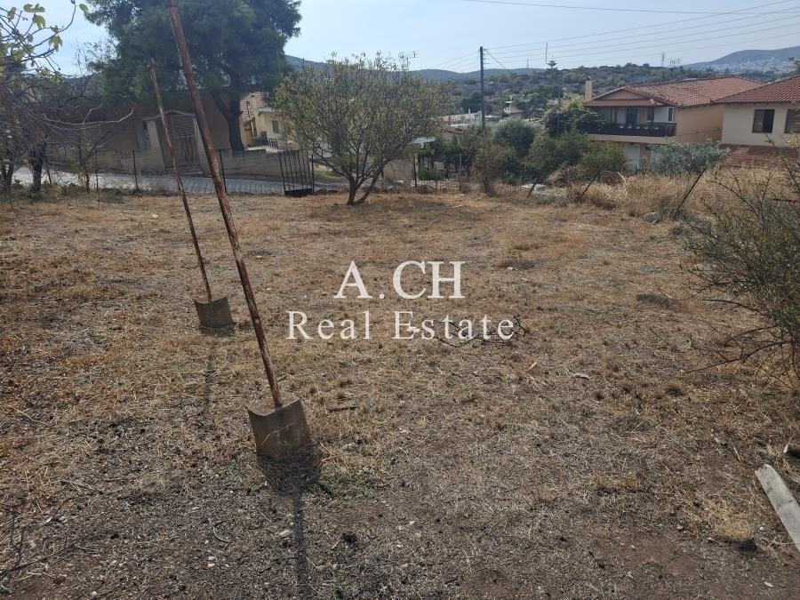 (For Sale) Land Agricultural Land  || East Attica/Koropi - 225 Sq.m, 23.000€ 