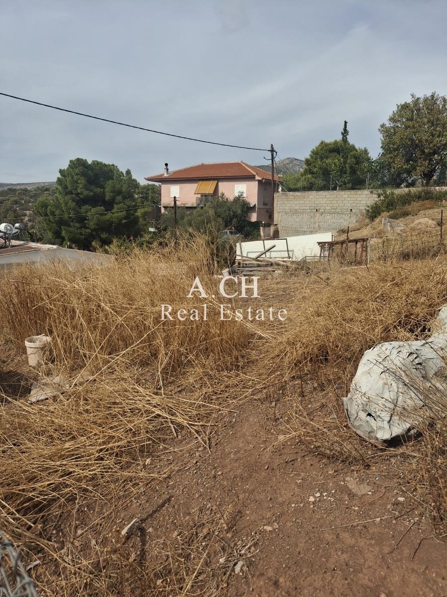 (For Sale) Land Agricultural Land  || East Attica/Koropi - 225 Sq.m, 24.000€ 