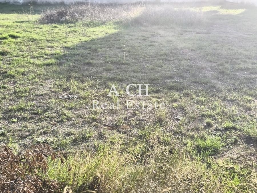 (For Sale) Land Plot || East Attica/Kalyvia-Lagonisi - 1.203 Sq.m, 410.000€ 