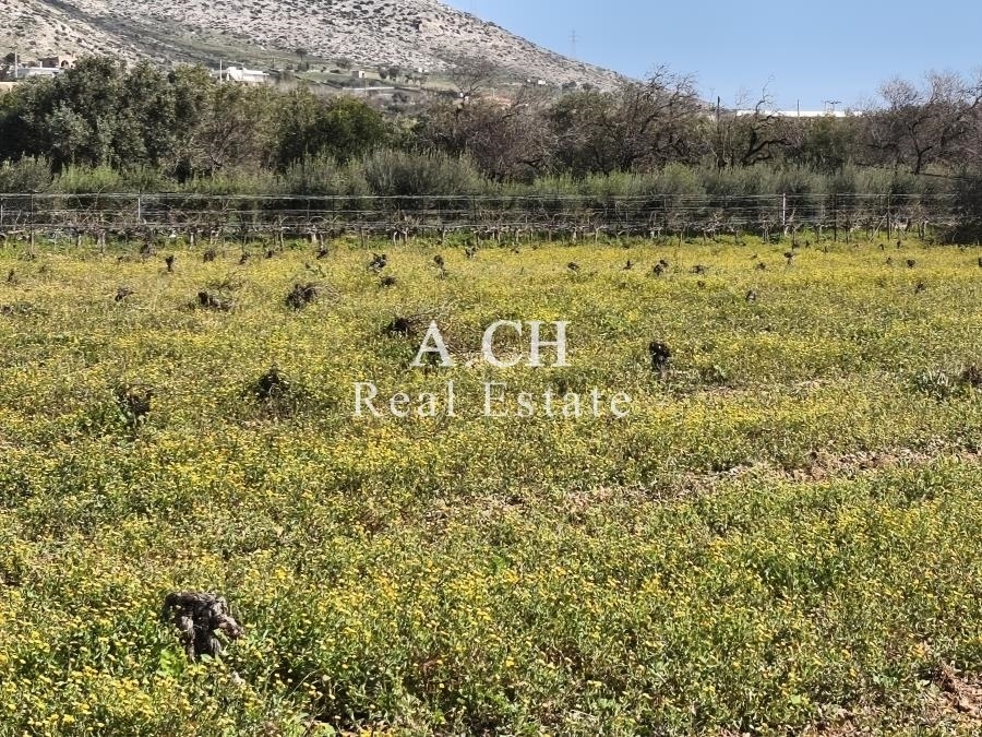 (Προς Πώληση) Αξιοποιήσιμη Γη Έκταση || Ανατολική Αττική/Καλύβια-Λαγονήσι - 8.283 τ.μ, 420.000€ 