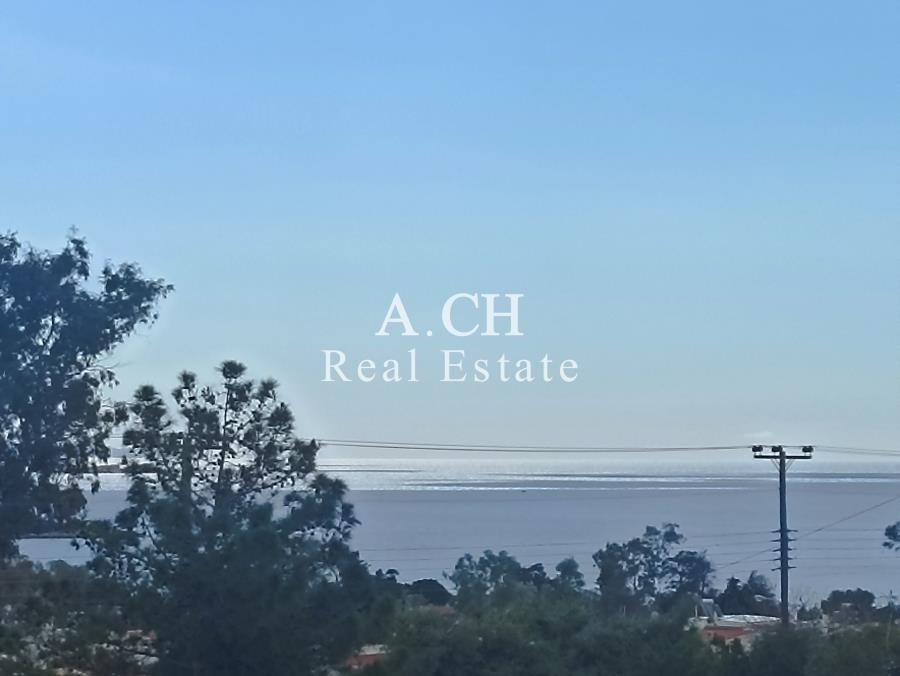 (Προς Πώληση) Κατοικία Μονοκατοικία || Ανατολική Αττική/Κορωπί  - 290 τ.μ, 5 Υ/Δ, 480.000€ 