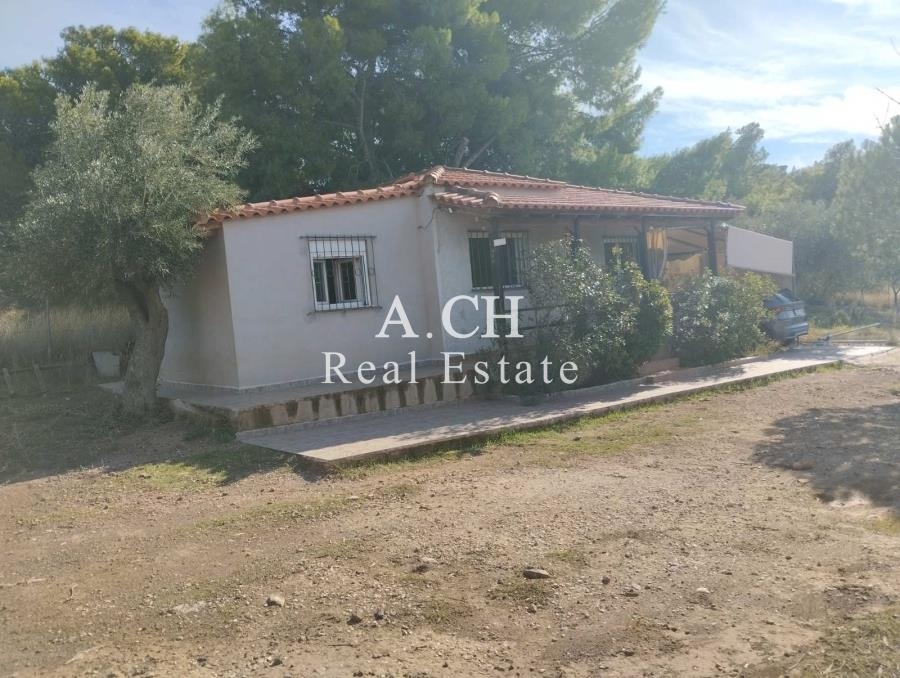 (Προς Πώληση) Κατοικία Μονοκατοικία || Ανατολική Αττική/Κορωπί  - 38 τ.μ, 1 Υ/Δ, 120.000€ 