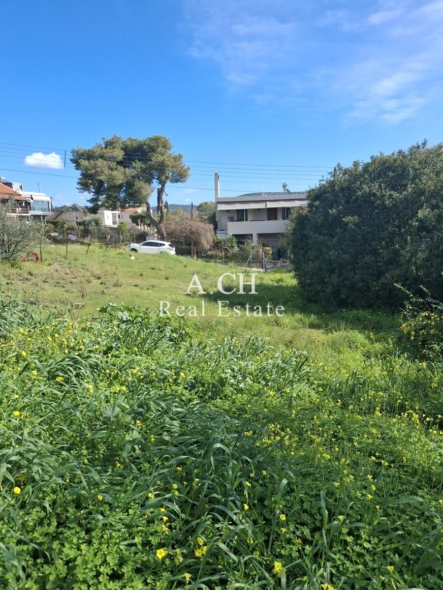 (Προς Πώληση) Αξιοποιήσιμη Γη Αγροτεμάχιο || Ανατολική Αττική/Βάρη-Βάρκιζα - 525 τ.μ, 75.000€ 