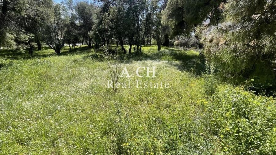 (Προς Πώληση) Αξιοποιήσιμη Γη Οικόπεδο || Ανατολική Αττική/Θρακομακεδόνες - 1.260 τ.μ, 380.000€ 