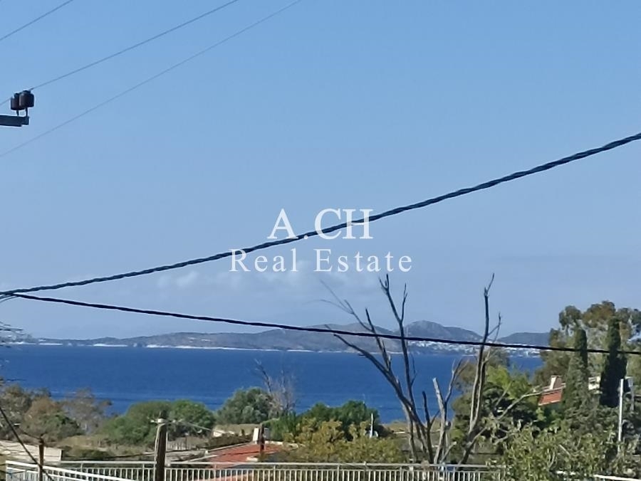 (Προς Πώληση) Αξιοποιήσιμη Γη Οικόπεδο || Ανατολική Αττική/Ανάβυσσος - 1.300 τ.μ, 350.000€ 