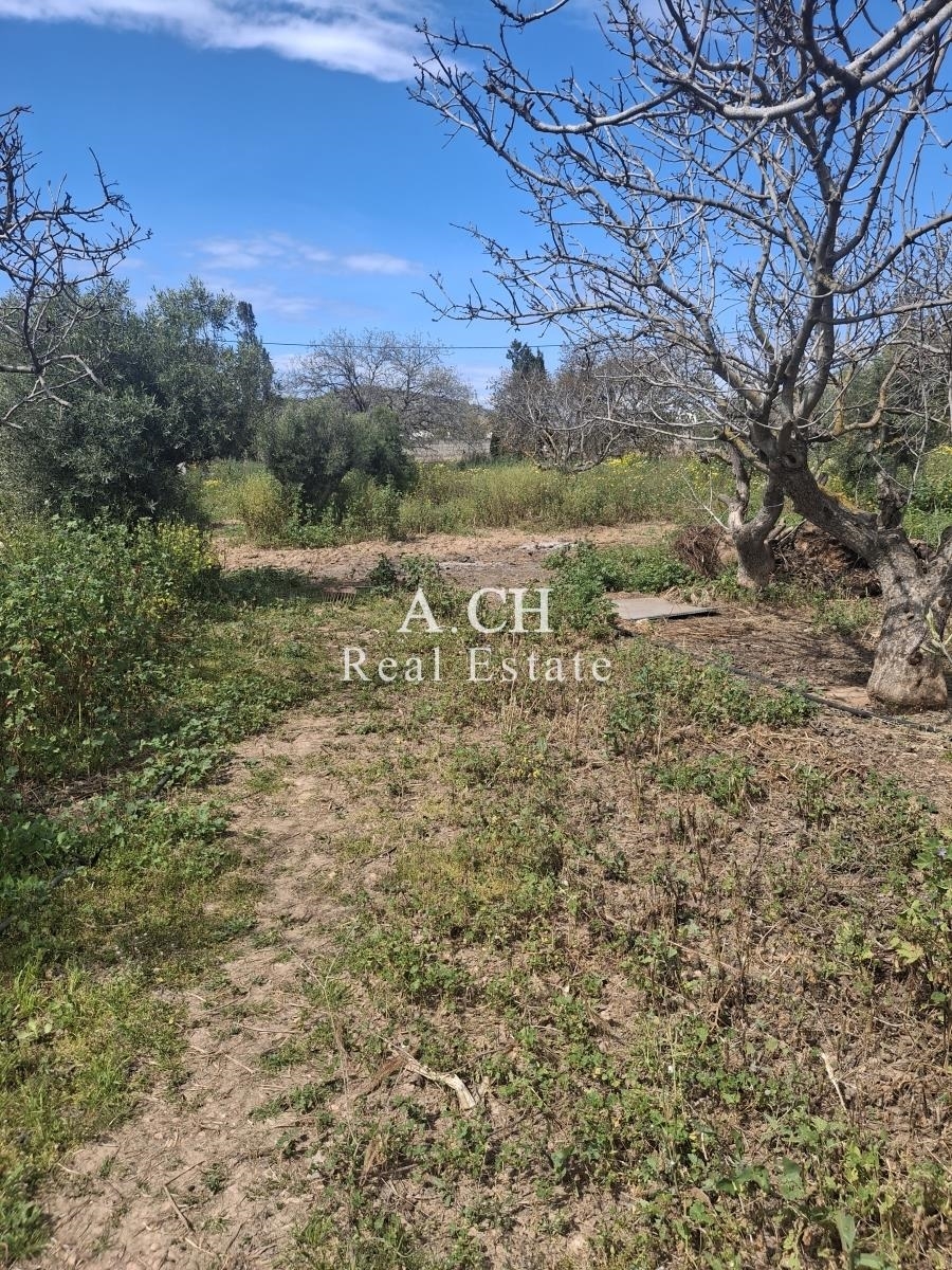 (Προς Πώληση) Αξιοποιήσιμη Γη Αγροτεμάχιο || Ανατολική Αττική/Βάρη-Βάρκιζα - 2.300 τ.μ, 289.000€ 