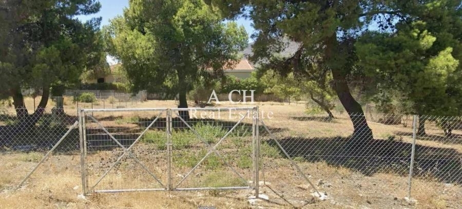 (For Sale) Land Plot || East Attica/Palaia Phokaia - 922 Sq.m, 250.000€ 