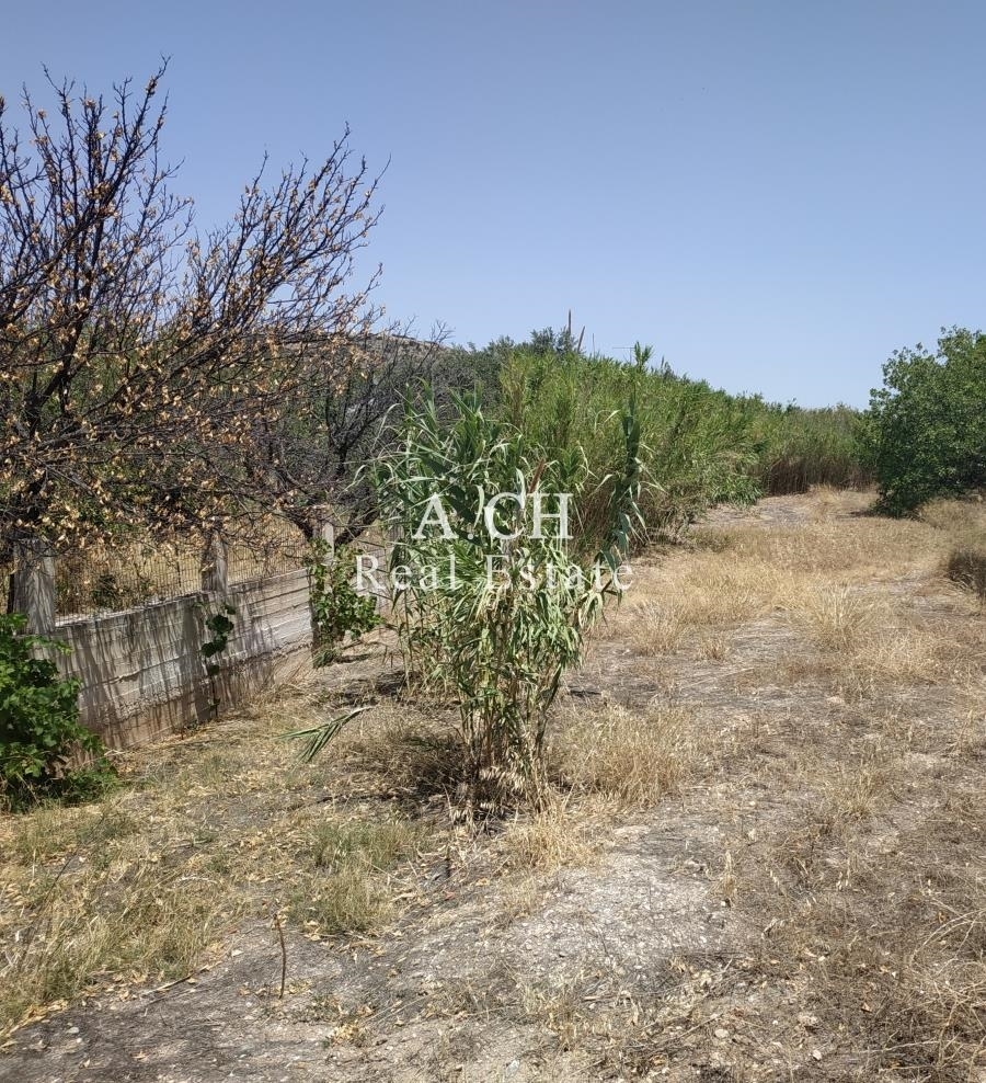 (For Sale) Land Plot || East Attica/Kalyvia-Lagonisi - 754 Sq.m, 275.000€ 