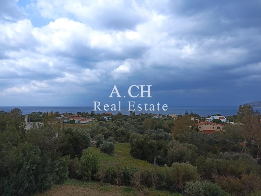 (Προς Πώληση) Κατοικία Μονοκατοικία || Ανατολική Αττική/Παλαιά Φωκαία - 450 τ.μ, 5 Υ/Δ, 1.450.000€ 