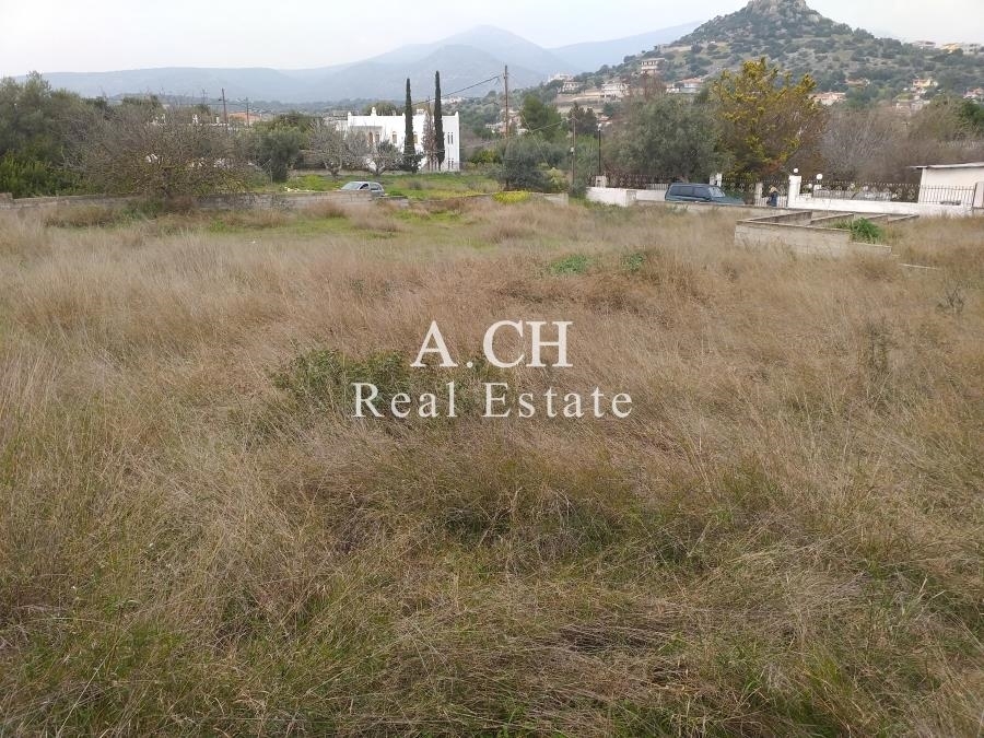 (For Sale) Land Plot || East Attica/Koropi - 1.160 Sq.m, 100.000€ 