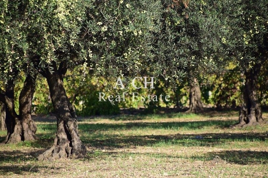 (For Sale) Land Plot || East Attica/Kalyvia-Lagonisi - 1.055 Sq.m, 580.000€ 