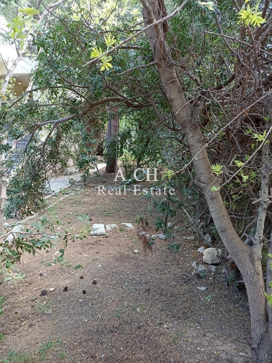 (Προς Πώληση) Αξιοποιήσιμη Γη Οικόπεδο || Ανατολική Αττική/Σαρωνίδα - 751 τ.μ, 700.000€ 