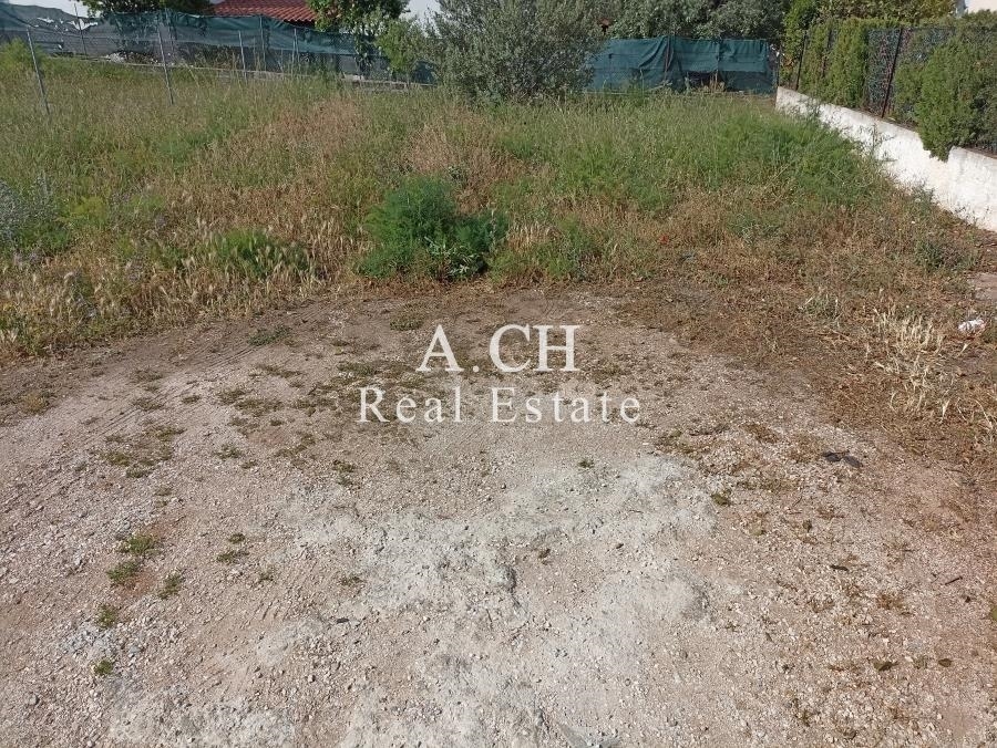 (For Sale) Land Plot || East Attica/Kalyvia-Lagonisi - 230 Sq.m, 65.000€ 